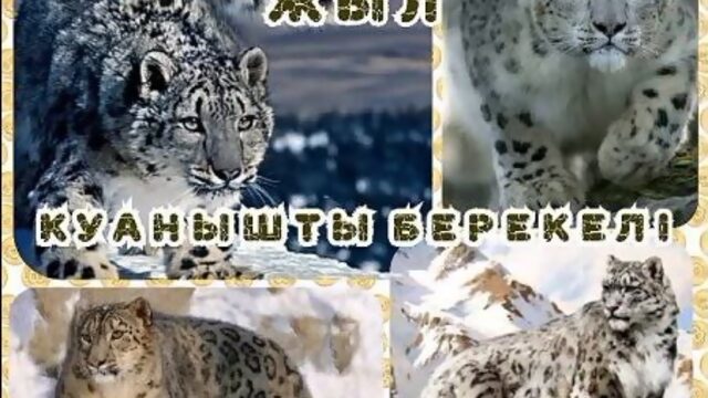 Әз-Науырыз Мерекесі Құтты Болсын! Мамытов Батырбек.