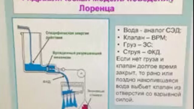 Научное объяснение необходимости игр с кошкой