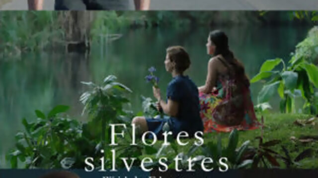 Полевые цветы _ Flores silvestres _ Wild Flowers (2015) Мексика