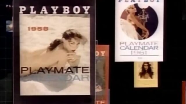 Playboy Video Playmate Calendar 1991