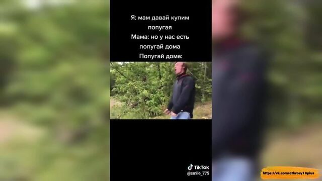 Годный тик-ток - попугай делает тьау тьау тьау