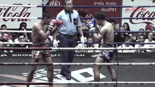 Muay Thai_ Fake Knee Elbow KO Fight Breakdown _ Evolve University